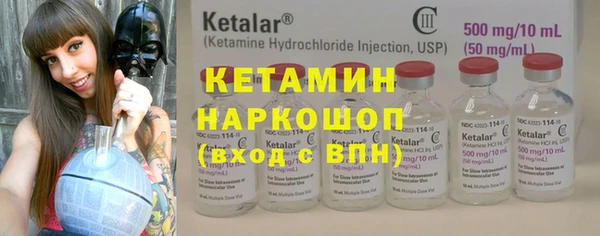 индика Алзамай