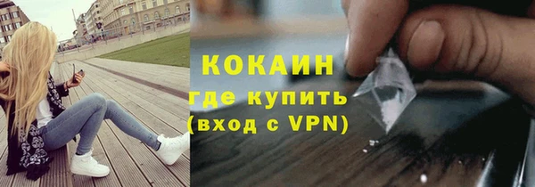 стафф Алексин