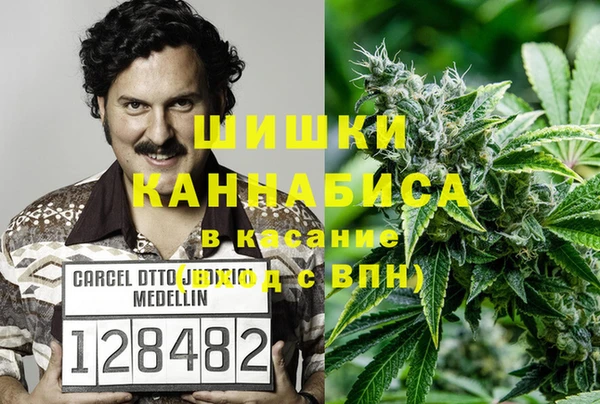 стафф Алексин