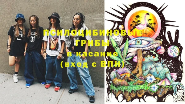 индика Алзамай