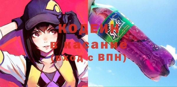 индика Алзамай
