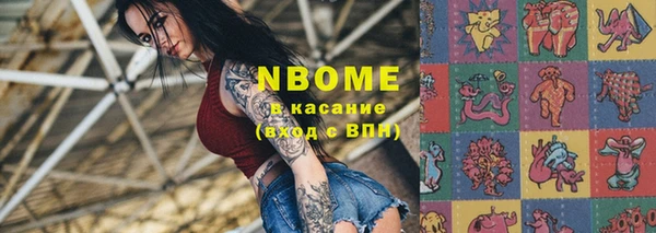 индика Алзамай