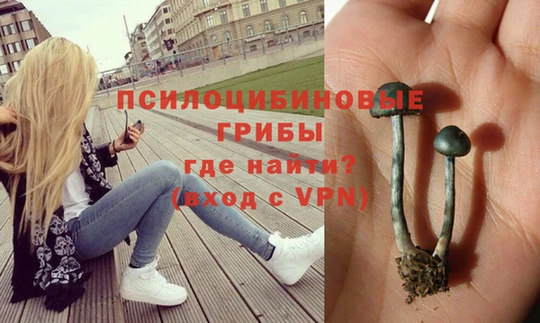индика Алзамай