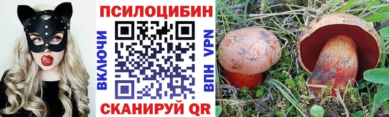 Псилоцибиновые грибы Cubensis  наркота  Шахунья 